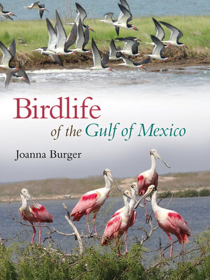 cover image of Birdlife of the Gulf of Mexico